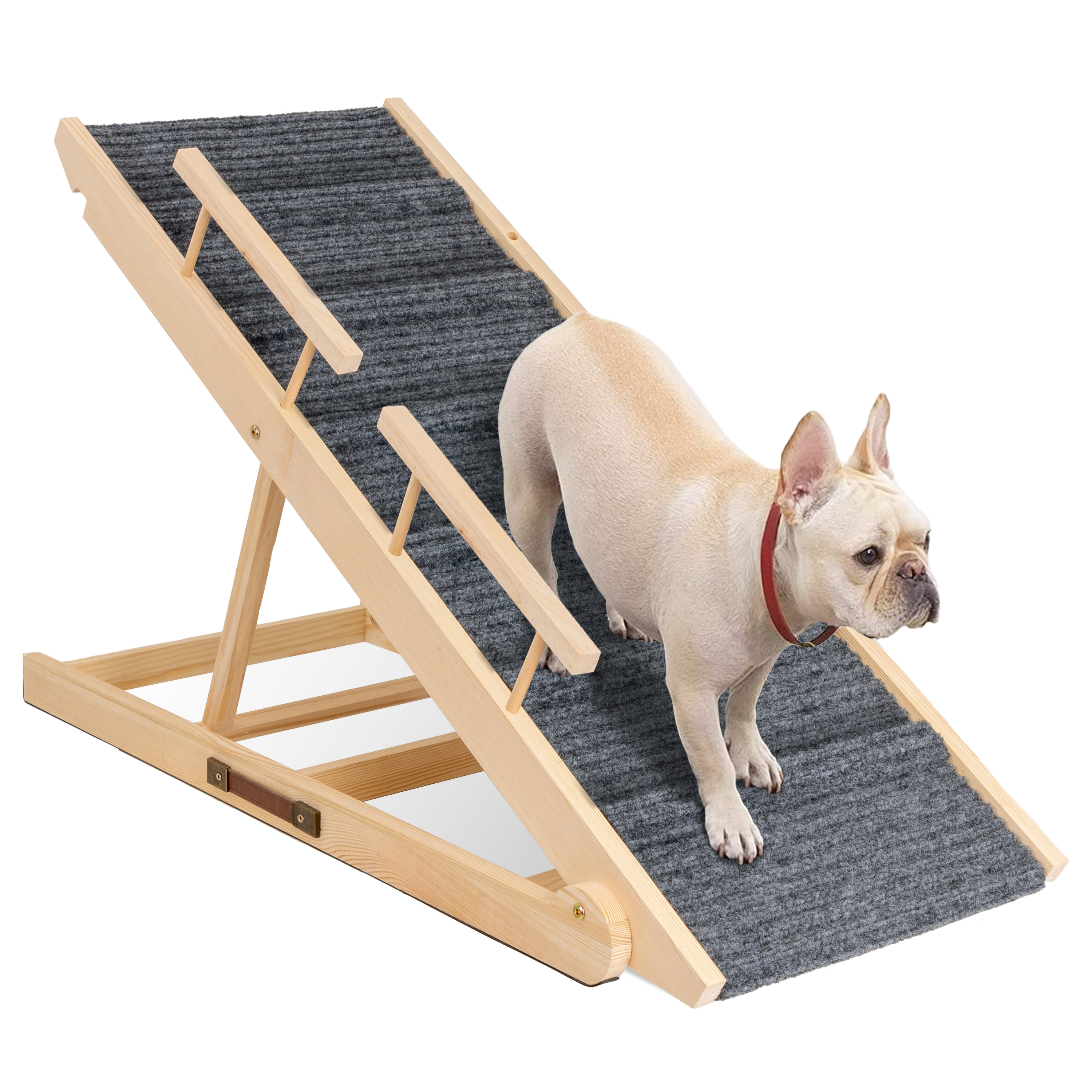 Tucker Murphy Pet™ Dibanhi 41.3" Pet Ramp & Reviews Wayfair Canada